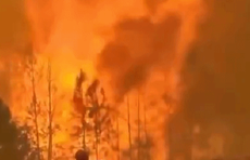 为何近期森林火灾频繁发生？森林火灾扑救为何难度如此之大？